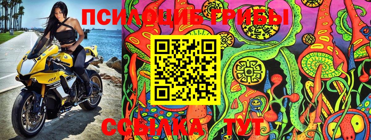 Псилоцибиновые грибы GOLDEN TEACHER  Псилоцибиновые грибы Psilocybine cubensis  Вход с VPN  Чапаевск 
